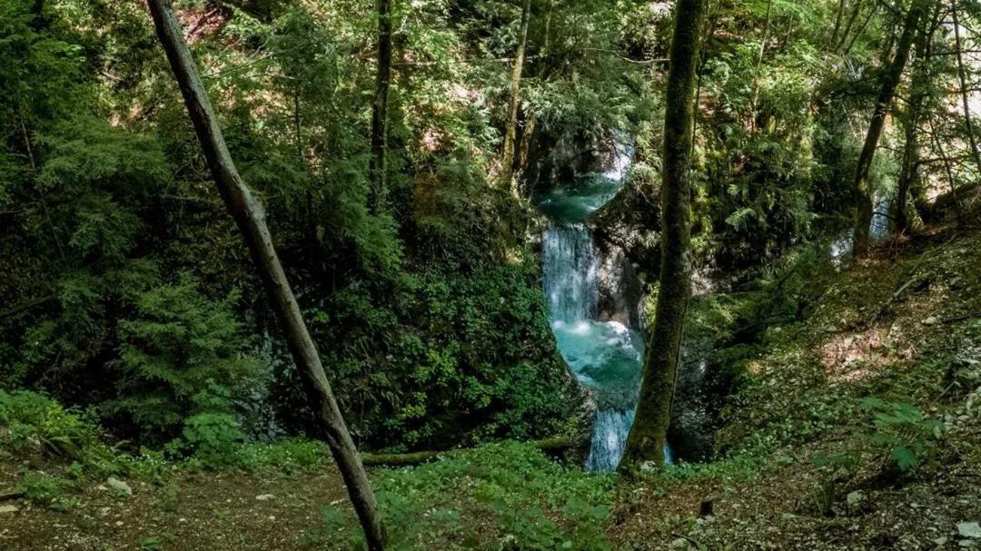 Brentino Belluno B&B Gianchia المظهر الخارجي الصورة